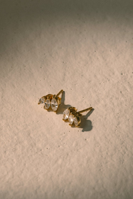 Zayra Trinitiy Earstud